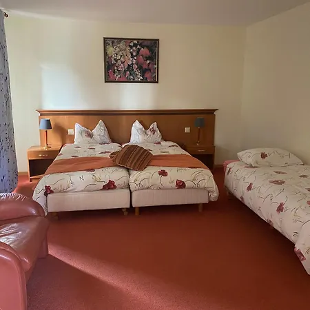 Hotel Communale De 3*